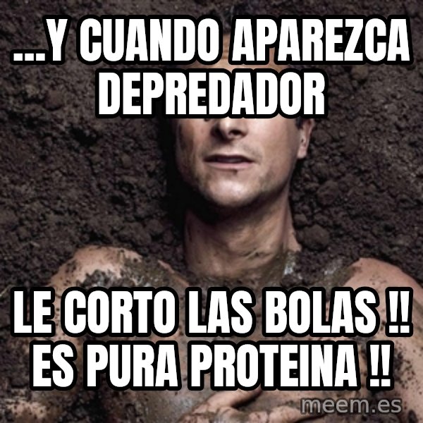 Bear Grylls meme: ...y cuando aparezca depredador / le corto las bolas !! es pura proteina !!