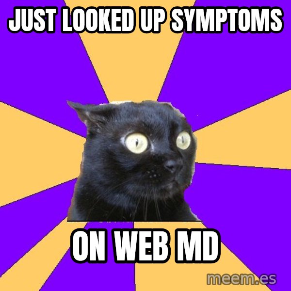 Anxiety Cat meme: Just looked up symptoms / on web mD