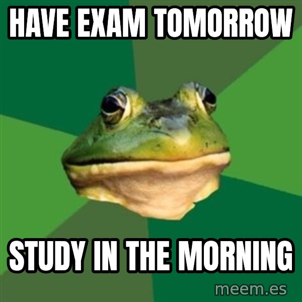 Foul Bachelor Frog meme: Have exam tomorrow / study in the morning