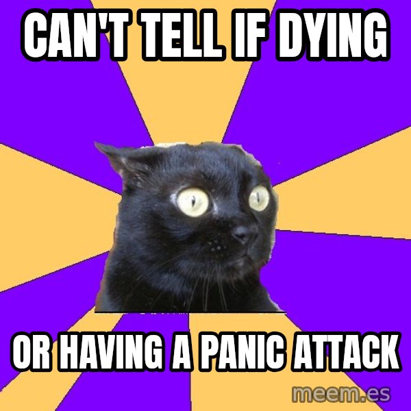 Anxiety Cat meme: can't tell if dying / or having a panic attack