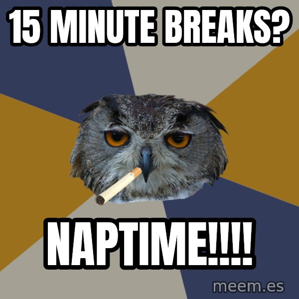 Art Student Owl meme: 15 minute breaks? / Naptime!!!!