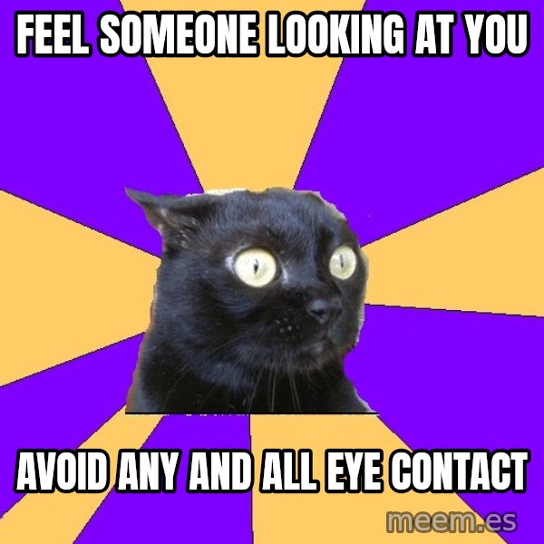 Anxiety Cat meme: feel someone looking at you / avoid any and all eye contact