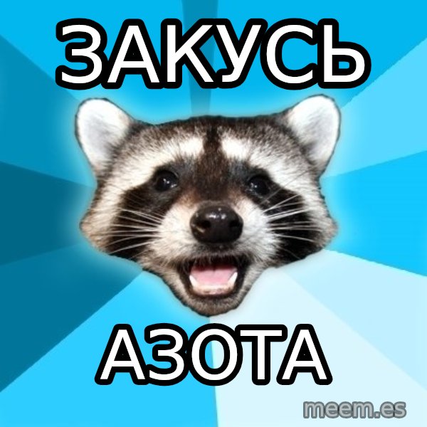 Lame Pun Coon meme: ЗАКУСЬ / азота