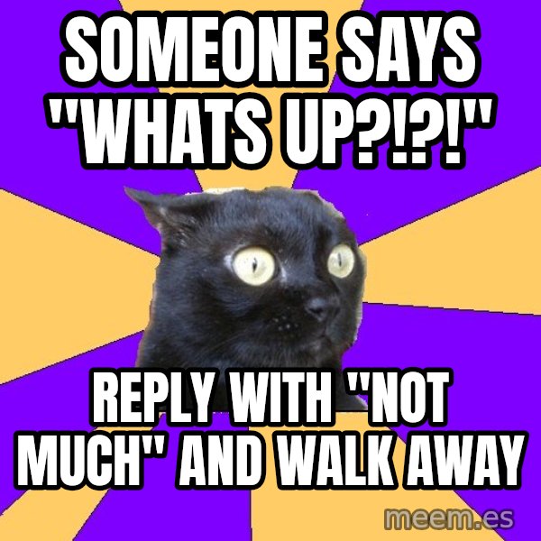Anxiety Cat meme: Someone Says "Whats Up?!?!" / Reply with "Not Much" and walk away