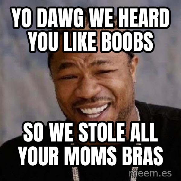 Yo Dawg meme: yo dawg we heard you like boobs / so we stole all your moms bras