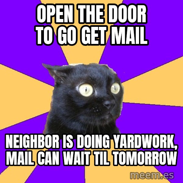 Anxiety Cat meme: Open the door to go get mail / neighbor is doing yardwork, mail can wait til tomorrow