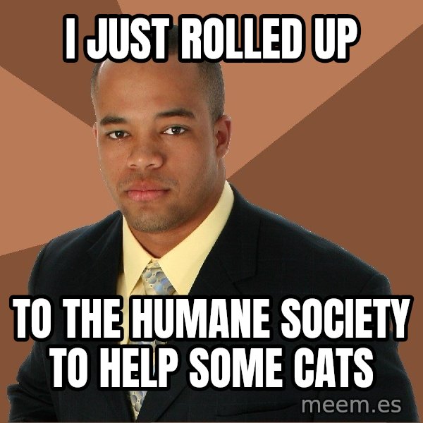 Successful Black Man meme: I just rolled up / to the humane society to help some cats