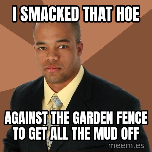 Successful Black Man meme: i smacked that hoe / against the garden fence to get all the mud off