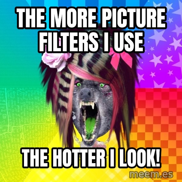 Insanity Scene Wolf meme: THe More Picture Filters I use / The hotter I look!