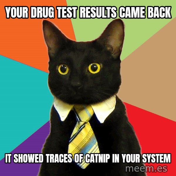 Business Cat meme: Your drug test results came back / it showed traces of catnip in your system