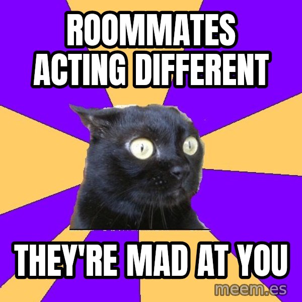 Anxiety Cat meme: Roommates acting different / They're mad at you