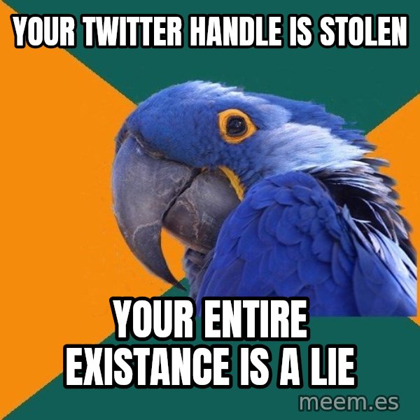 Paranoid Parrot meme: Your Twitter Handle is stolen / your entire existance is a lie