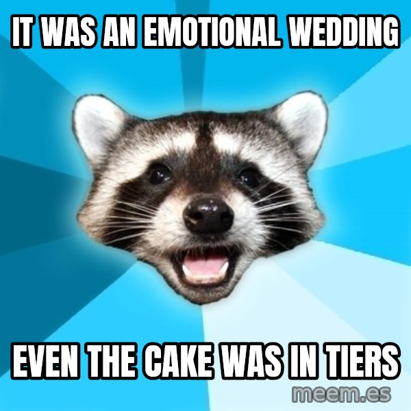 Lame Pun Coon meme: IT WAS AN EMOTIONAL WEDDING / EVEN THE CAKE WAS IN TIERS