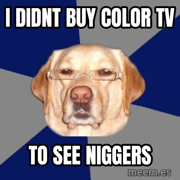 Racist Dog meme: I DIDNT BUY COLOR TV / TO SEE NIGGERS