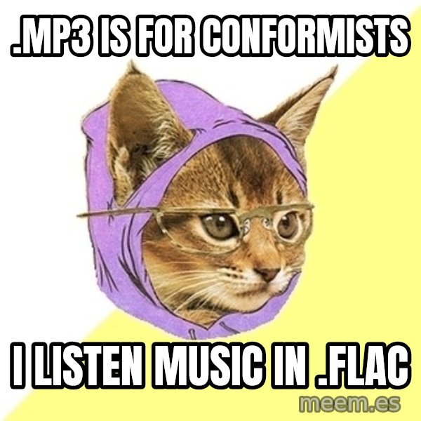 Hipster Kitty meme: .MP3 IS FOR CONFORMISTS / I LISTEN MUSIC IN .FLAC