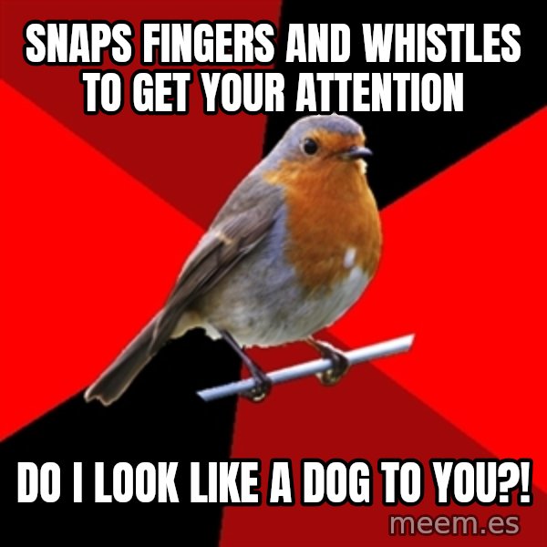Retail Robin meme: Snaps fingers AND WHISTLES to get YOUR attention / DO I LOOK LIKE A DOG TO YOU?!