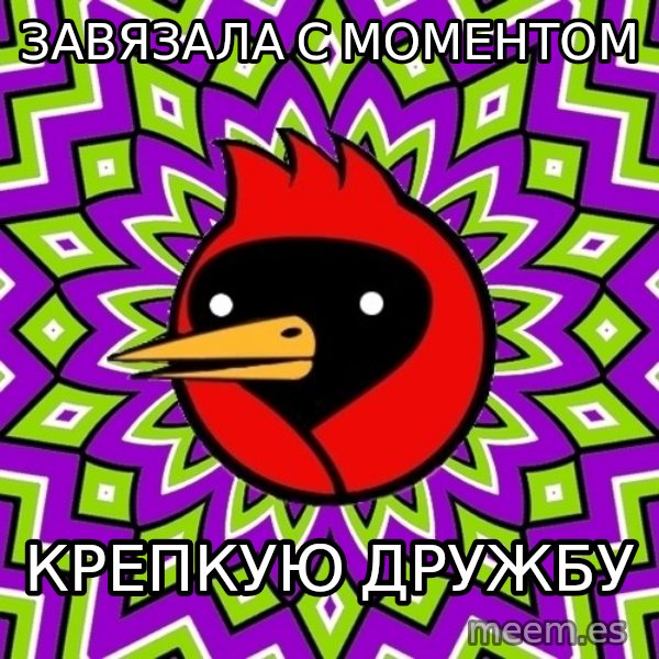 Omsk Crow meme: Завязала с моментом / крепкую дружбу