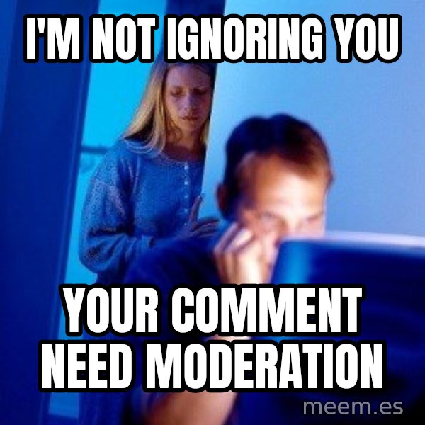 Internet Husband meme: i'm not ignoring you / your comment need moderation