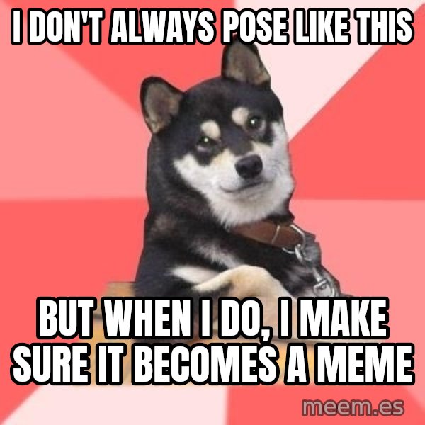 Cool Dog meme: I don't always pose like this / but when i do, i make sure it becomes a meme