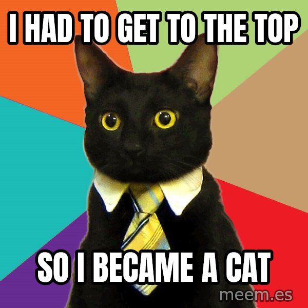 Business Cat meme: I had to get to the top / so i became a cat