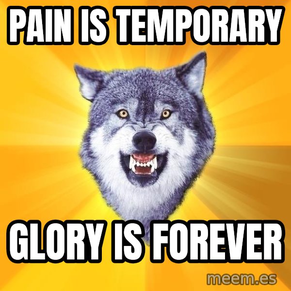 Courage Wolf meme: PAIN IS TEMPORARY / GLORY IS FOREVER