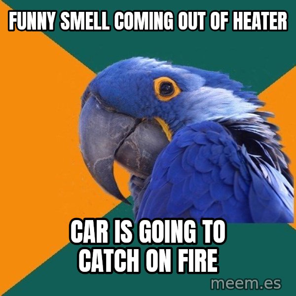 Paranoid Parrot meme: funny smell coming out of heater / car is going to catch on fire