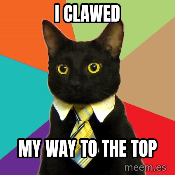 Business Cat meme: i clawed / my way to the top