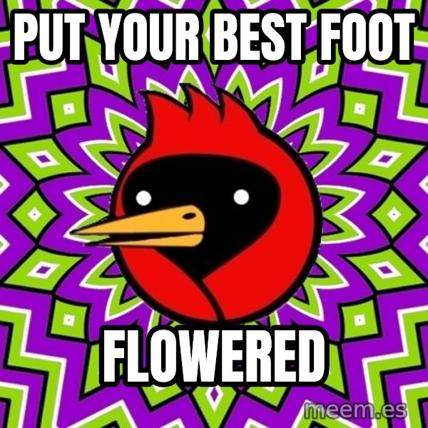 Omsk Crow meme: put your best foot / flowered