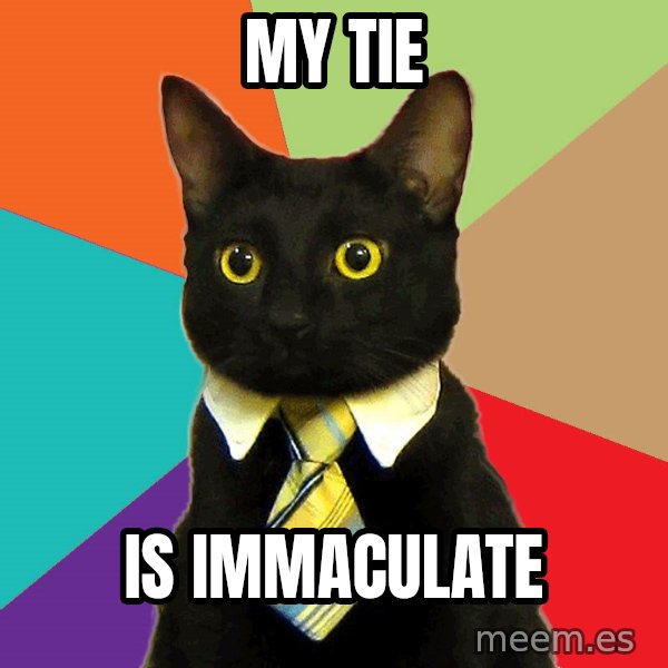 Business Cat meme: my tie / is immaculate