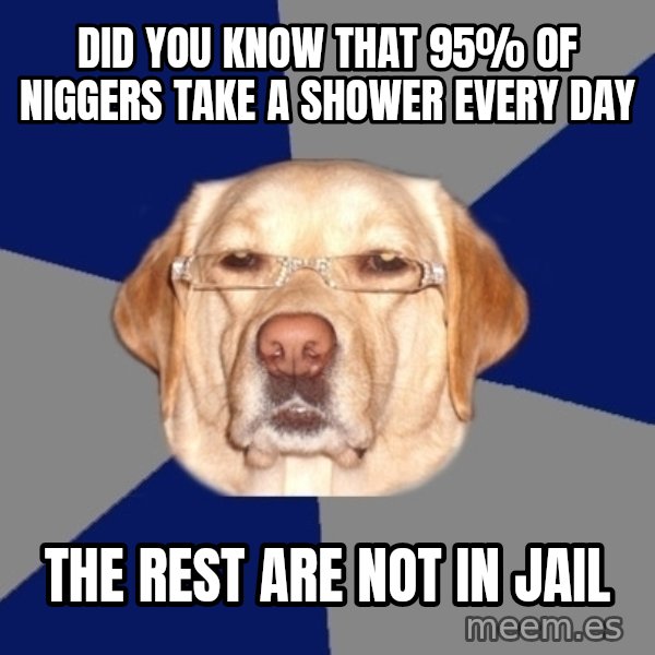 Racist Dog meme: Did you know that 95% of niggers take a shower every day / The rest are not in jail