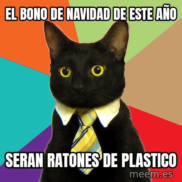 Business Cat meme: El bono de navidad de este año / seran ratones de plastico