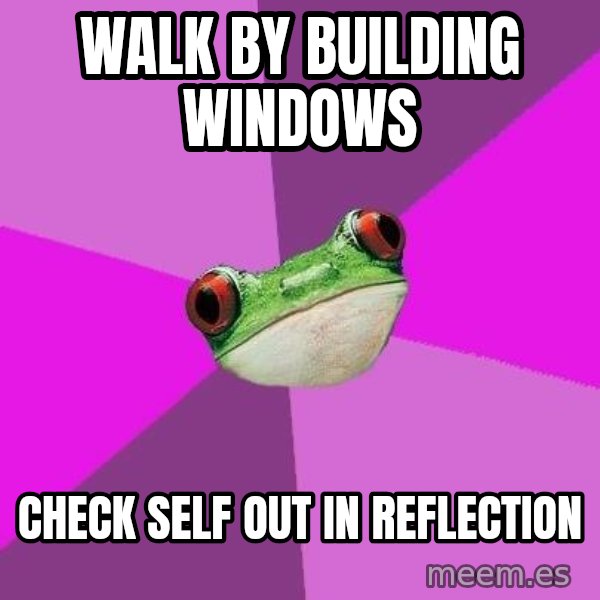 Foul Bachelorette Frog meme: walk by building windows / Check self out in reflection
