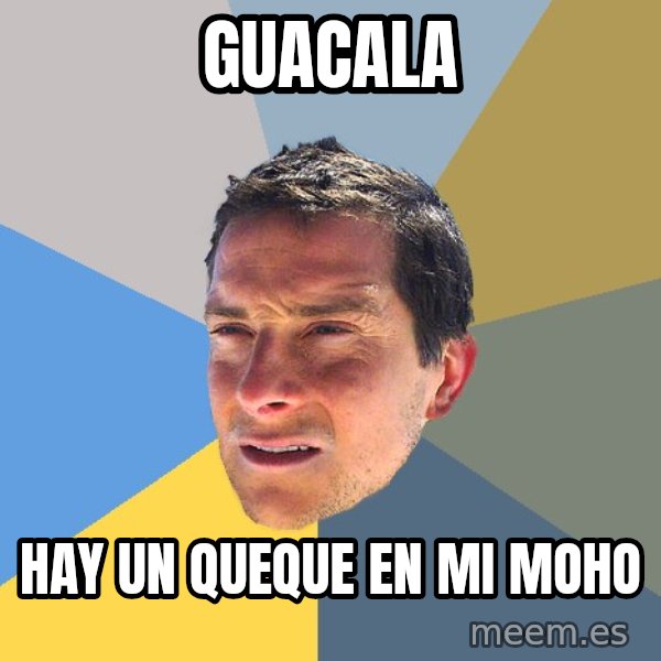 Bear Grylls meme: Guacala / hAY UN QUEQUE EN MI MOHO