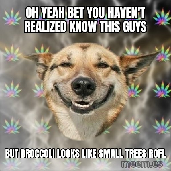 Stoner Dog meme: OH YEAH bet you haven't realized know this guys / but Broccoli looks like small trees rofl