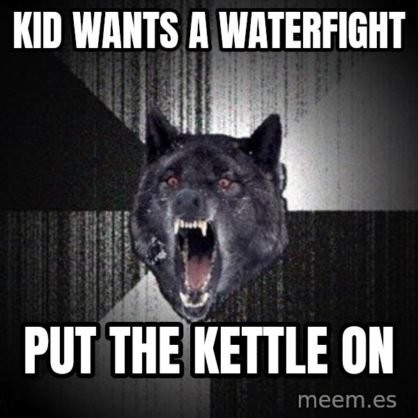 Insanity Wolf meme: KID WANTS A WATERFIGHT / PUT THE KETTLE ON