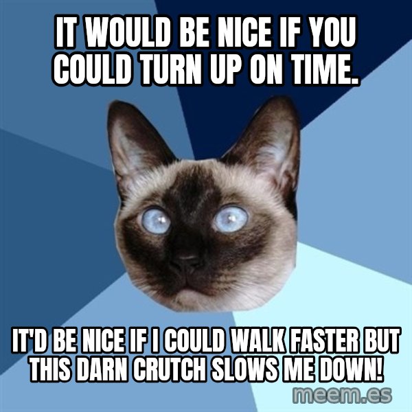 Chronic Illness Cat meme: It would be nice if you could turn up on time. / It'd be nice if I could walk faster but this darn crutch slows me down!