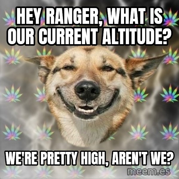 Stoner Dog meme: Hey ranger, what is our current altitude? / we're pretty high, aren't we?