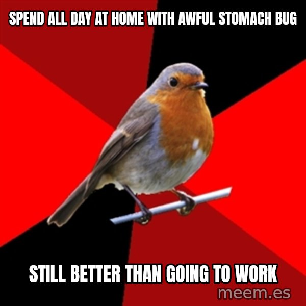 Retail Robin meme: spend all day at home with awful stomach bug / still better than going to work