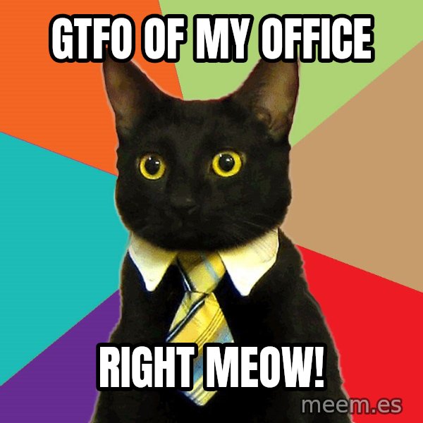 Business Cat meme: GTFO of my office / right meow!