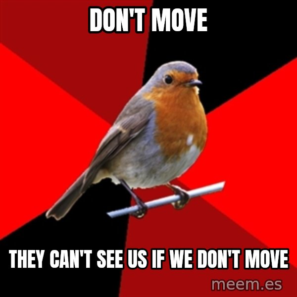 Retail Robin meme: don't move / they can't see us if we don't move