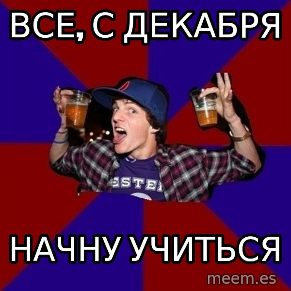 Sunny Student meme: все, с декабря / начну учиться