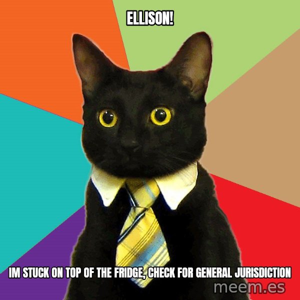 Business Cat meme: Ellison! / im stuck on top of the fridge, check for general jurisdiction