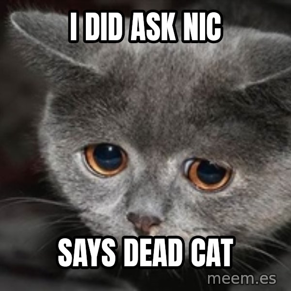 Sadcat meme: I DID ASK NIC / SAYS DEAD CAT