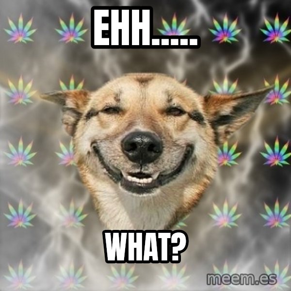 Stoner Dog meme: ehh..... / what?