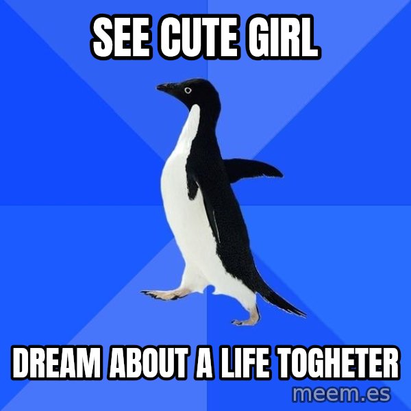 Socially Awkward Penguin meme: see cute girl / dream about a life togheter