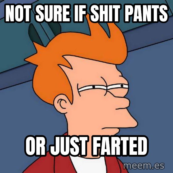 Futurama Fry meme: Not sure if shit pants / or just farted