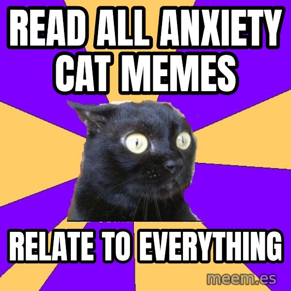 Anxiety Cat meme: read all ANXIETY CAT MEMES / RELATE TO EVERYTHING
