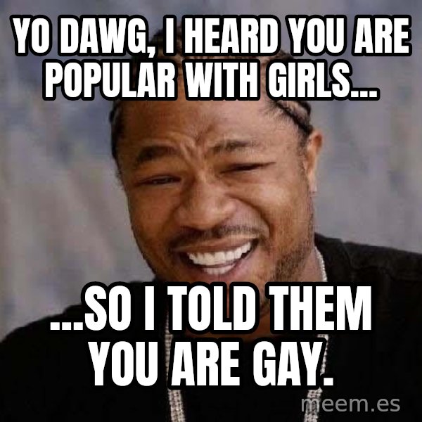 Yo Dawg meme: yo dawg, i heard you are popular with girls... / ...so i told them you are gay.