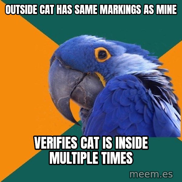 Paranoid Parrot meme: outside cat has same markings as mine / verifies cat is inside multiple times