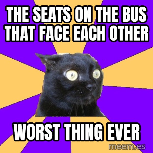 Anxiety Cat meme: the seats on the bus that face each other / worst thing ever